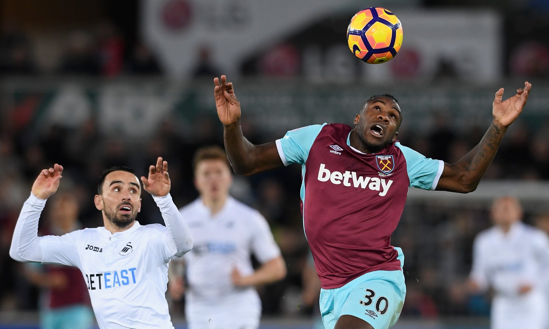 这片富有活 这片富有活