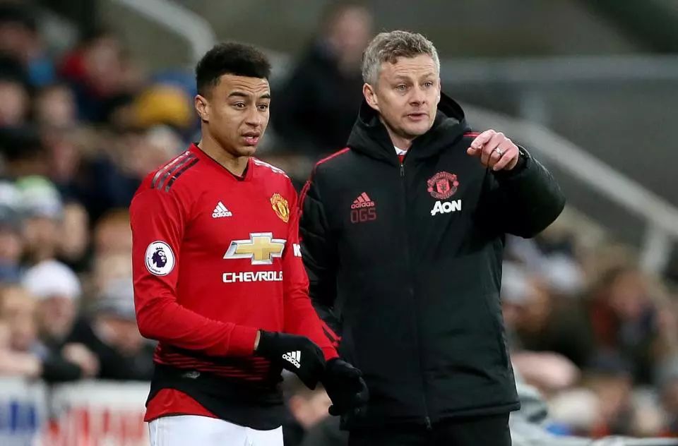 的世界排名 的世界排名